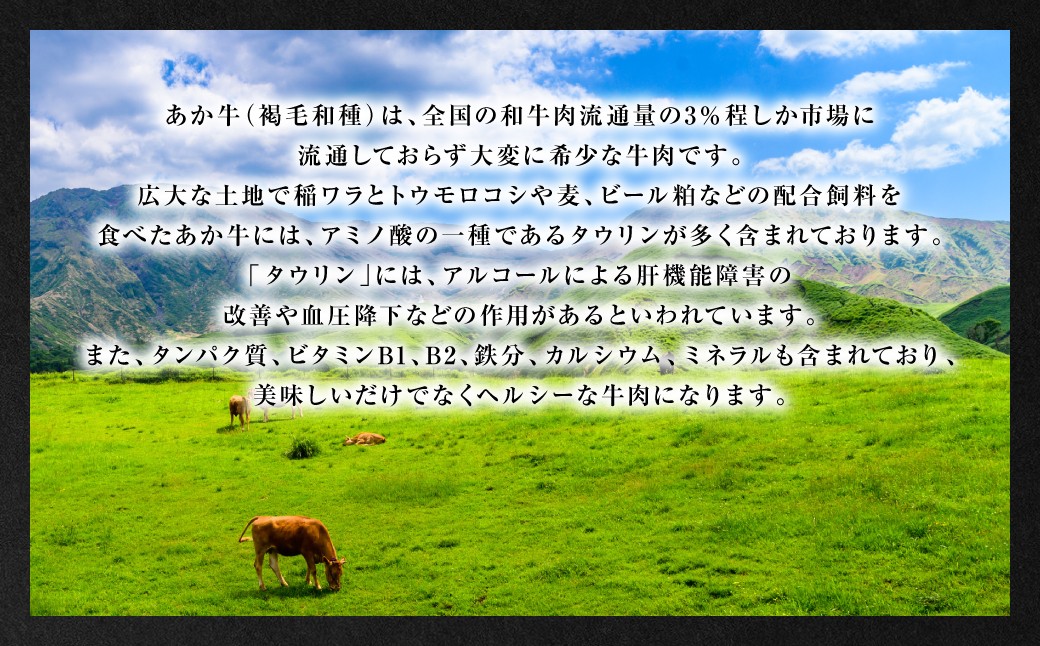 GI認証 くまもとあか牛 ロースステーキ 約500g