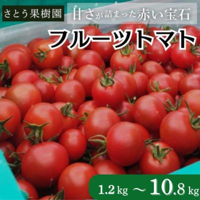 【ふるさと納税】 トマト フルーツトマト 1.2kg〜10.8kg 1箱 フルティカ 藤沢市 野菜 とまと ミニトマト ハウス栽培