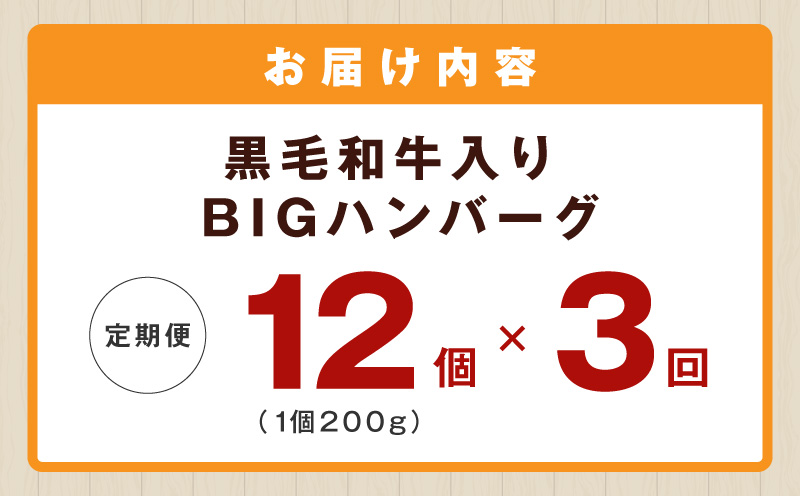 【定期便】黒毛和牛入り BIGハンバーグ（200g×12個）全3回 【毎月配送コース】 099Z412