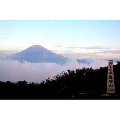 【ふるさと納税】国立公園箱根の名山「金時山」登山ツアー【1529258】