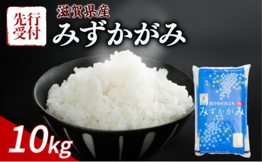 【令和8年産】 先行予約 新米 みずかがみ 10kg 令和8年産 米 精米 白米 こめ コメ お米 ご飯 米 5kg × 2袋 10キロ 令和8年 滋賀 彦根 【近江米】