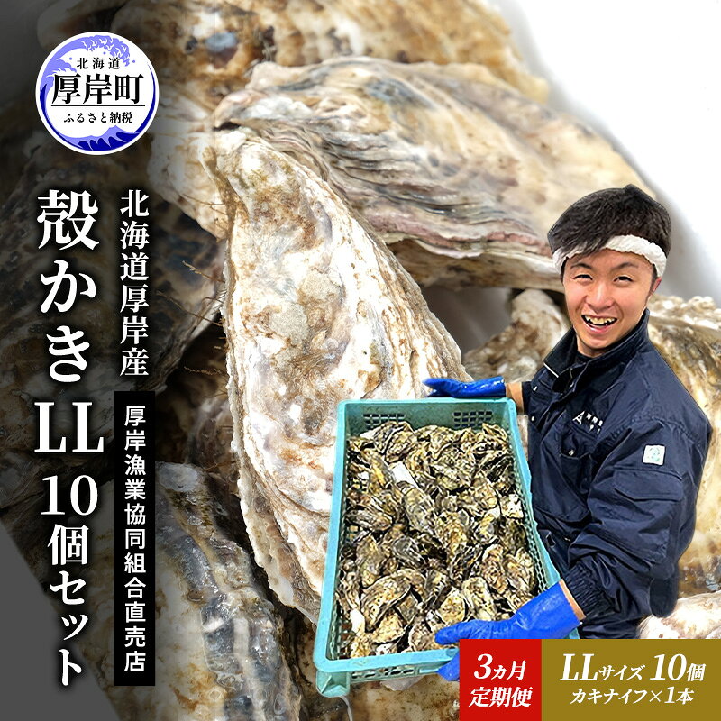 【ふるさと納税】定期便 3ヵ月 牡蠣 殻付き 生食 LL10個 北海道 厚岸産 マルえもん【厚岸漁業協同組合】カキナイフ付 [ カキ かき 生牡蠣 殻かき オイスター 冷蔵 ］