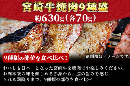 ＜宮崎牛焼肉9種盛（約630g）＞翌月末迄に順次出荷【 牛肉 和牛 黒毛和牛 肩ロース モモ ウデ 赤身 霜降り 国産 食べ比べ バーベキュー 食べ比べ 】【a0479_em_x3】