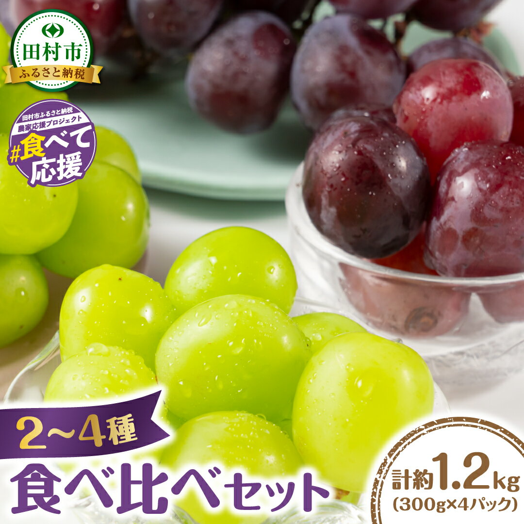 【ふるさと納税】【先行予約】 2～4品種のぶどう食べ比べパック 合計約1.2kg 約300g×4パック (訳あり粒タイプ) 10月上旬より順次発送 粒パック シャインマスカット バイオレットキング ピオーネ マイハート ゴルビー クイーンニーナ 家庭用 オススメ 福島県 田村市 鈴木農園