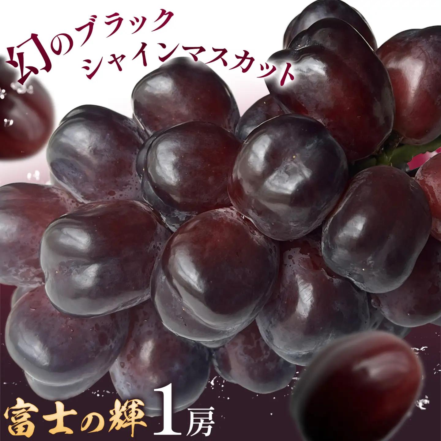 富士の輝1房《8月下旬-9月下旬頃出荷予定》富士の輝きぶどう果物フルーツ贈り物お取り寄せフルーツ【配送不可地域あり】(離島)