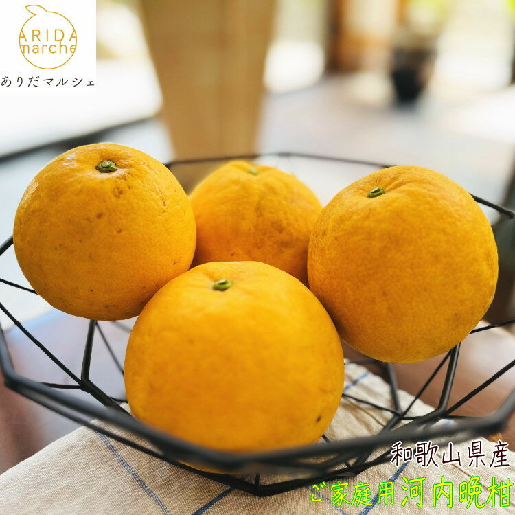 【ふるさと納税】【選べる容量】有田育ちの 爽やか 河内晩柑 (ご家庭用) 約3.5kg or 約7.5kg［2025年4月から発送］［MS62］ | フルーツ 果物 くだもの 食品 人気 おすすめ 送料無料 農家直送