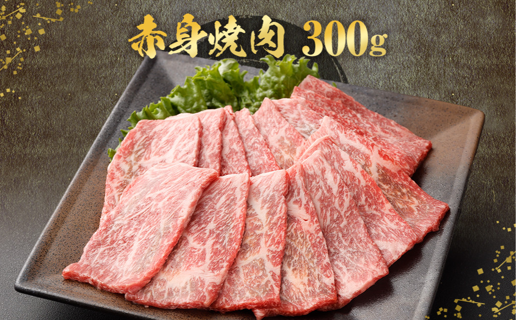 北さつま髙崎牛 焼肉食べ比べセット(2種盛り合計600g)