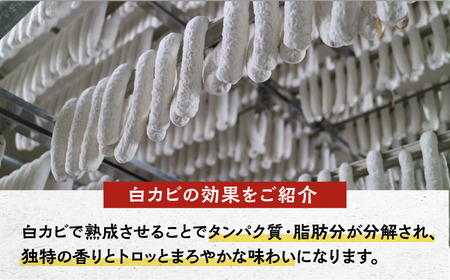 粉雪サラミ 5本 / のし ギフト 対応可 人気 希少 サラミ 生サラミ 白カビ 熟成 おつまみ / 佐賀県 / ふるさと倶楽部 [41ABCM001]
