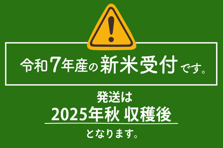 ＜令和7年産 新米受付＞《定期便11ヶ月》米【無洗米】米どころ秋田県大仙市産 あきたこまち 10kg（5kg×2袋）