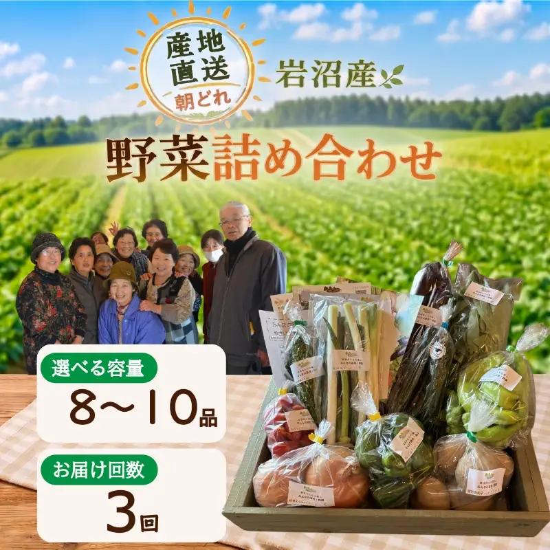 【定期便3ヶ月】 産地直送 朝どれ 新鮮野菜 8～10種類 詰め合わせ セット 野菜