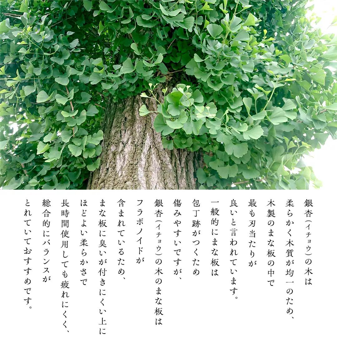 【 数量 限定 】 職人 がつくる 銀杏 の木 の まな板 イチョウ いちょう 木 木製 無垢 料理 キッチン キッチン用品 調理器具 抗菌 台所用品 一人暮らし 新生活 家庭用 雑貨 キッチン雑貨 