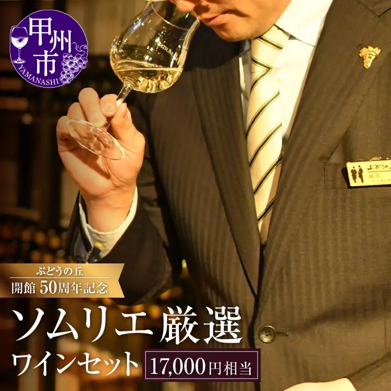 ワイン 勝沼ぶどうの丘ソムリエ厳選ワインセット（17,000円相当）（KBO）H-653