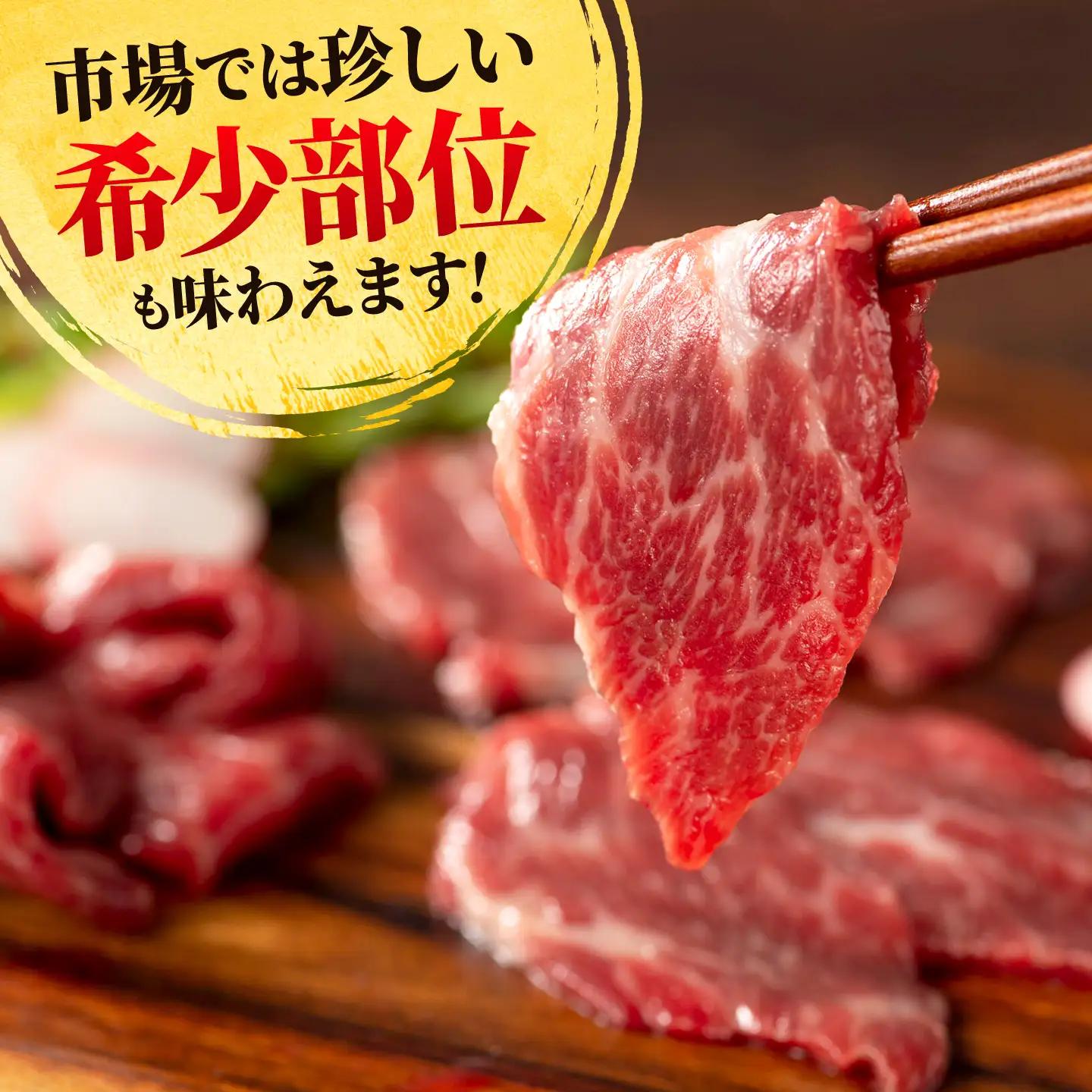 【熊本特産】厳選ふじ馬刺し6種セット（ふじ馬刺し大トロ・中トロ・ヒレ・ランプ・上赤身・ネギトロ） 計約450g【亀井通産株式会社】[AYBQ101]