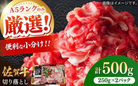佐賀牛切り落とし 500g（250g×2パック） / 佐賀県 / 株式会社中山牧場 [41AOCW009]