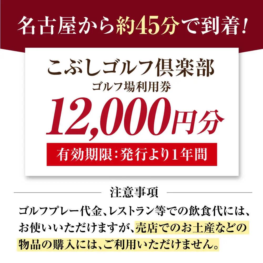 こぶしゴルフ倶楽部 12,000円分 [AVAO004]ゴルフ場