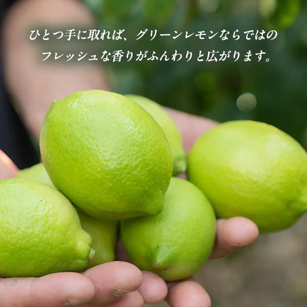 瀬戸内の ハウスグリーン レモン 約3kg【2026年8月以降発送】