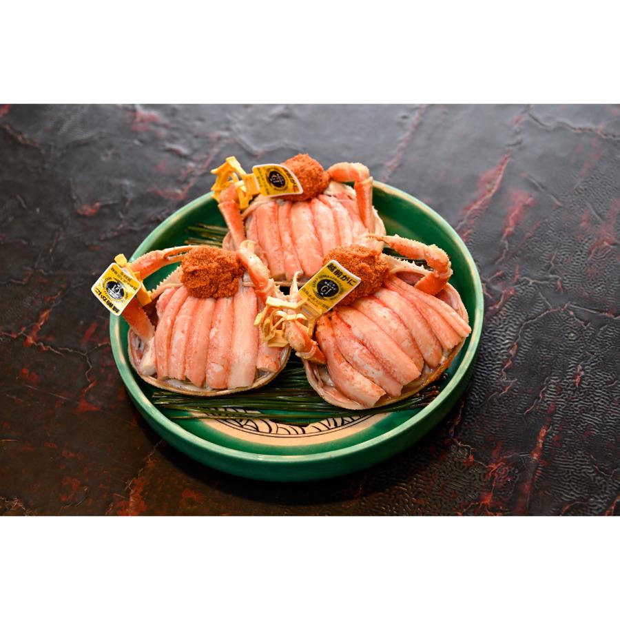 ＜越前 蟹の本陣＞越前甲羅盛り 浜茹で【せいこがに 大】3杯セット90g前後×3 ※甲羅の重さは含みません