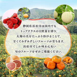 【2025年1月中旬より順次発送】紅ほっぺいちご 1パックと三ヶ日みかん青島 1.5kg 詰合せ【配送不可：離島】