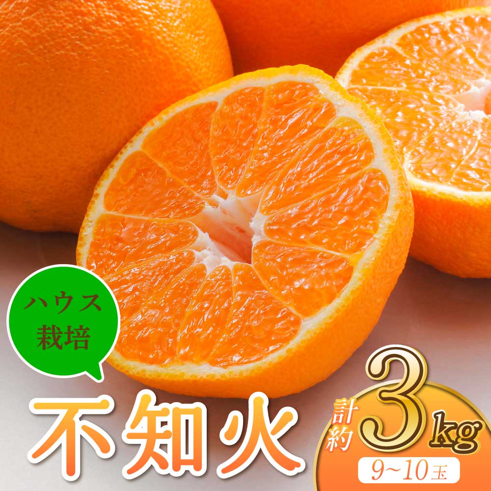 【ふるさと納税】宇城市産 ハウス栽培 不知火 約3kg 9〜10玉前後 うちやま果樹園 【2025年2月下旬から6月下旬発送予定】