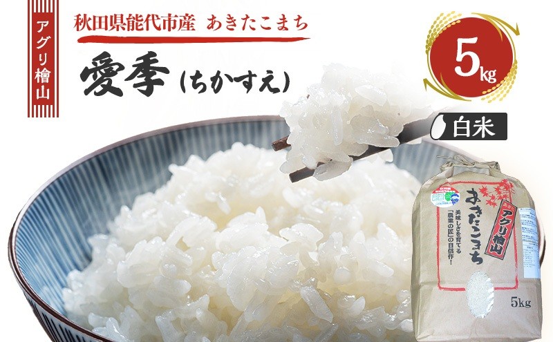 
            令和7年産 アグリ檜山米 愛季(ちかすえ) 白米 5kg  あきたこまち  精米 お米 おこめ こめ コメ ごはん ご飯 大粒 令和7年  秋田 秋田県 能代市
          
