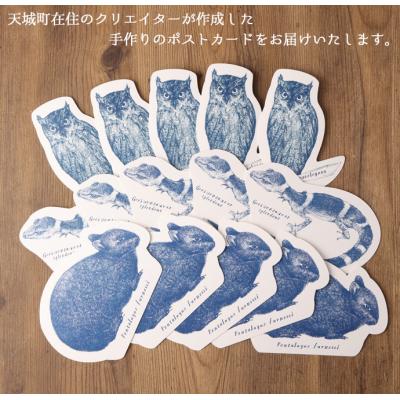 ふるさと納税 天城町 【世界自然遺産登録記念】 手作りポストカード 3種類×5枚セット 合計15枚 ボールペンアート 絵葉 |  | 01