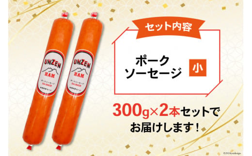 BI002 ハム 雲仙ハム 小 300g×2本 [ 絶品 人気 ハム ソーセージ おつまみ 肉 お弁当 おかず 小分け 便利 国産 豚肉 冷蔵 送料無料 雲仙ASTY 長崎県 島原市 ふるさと納税 ]