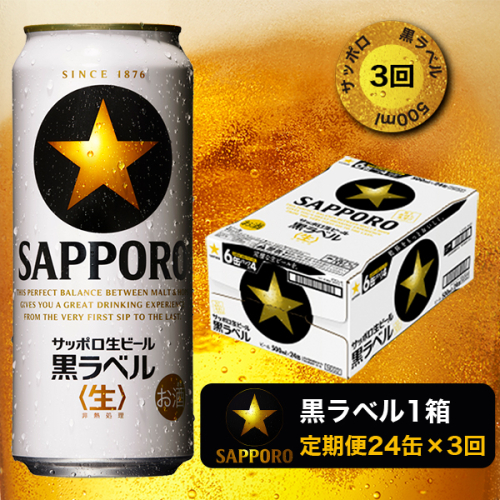 T0024-2103　【定期便3回】黒ラベルビール 500ml×1箱(24缶)