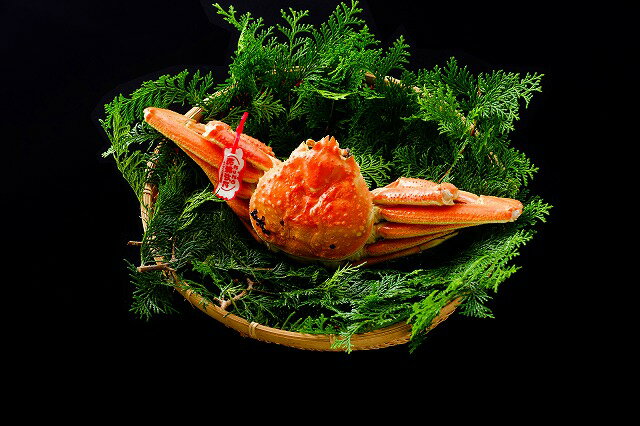 【ふるさと納税】91.鳥取県産　タグ付き浜茹で松葉がに　800g以上　2枚