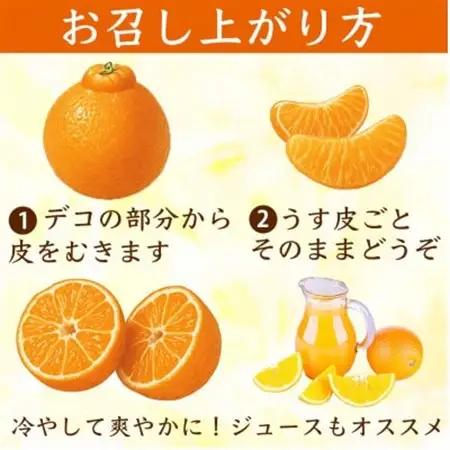 【先行予約】熊本県産 不知火 甘さが濃厚でジューシー! デコみかん 18～37玉 約8kg(益城町)【1726329】