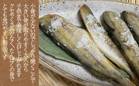 ＜北海道産＞干こまい200g×10袋 【 ふるさと納税 人気 おすすめ ランキング 干こまい 干し コマイ 魚 無添加 無着色 白身 北海道 むかわ町 送料無料 】 MKWZ008
