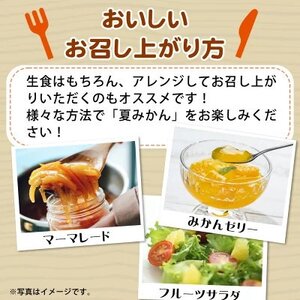 【2024年4月下旬より発送】夏みかん7.2kg【日高町】【1216956】