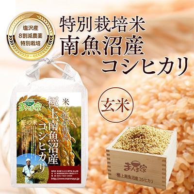 ふるさと納税 南魚沼市 【毎月定期便】特別栽培米「南魚沼産コシヒカリ」玄米5kg 全12回