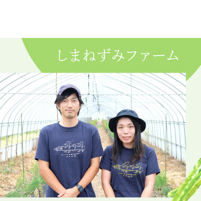 先行予約 【 2026年 発送 ！】北海道 上富良野産 ホワイトアスパラガス 3L サイズ 800g アスパラ ホワイトアスパラ 上富良野町 令和6年発送 先行受付 野菜 やさい _イメージ5