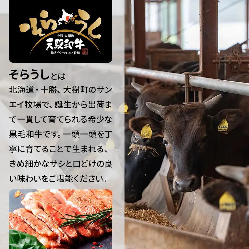「天駆和牛(そらうし)」リブロース ステーキ 250g A5 黒毛和牛 北海道十勝大樹町産【配送不可地域：離島】【1722146】