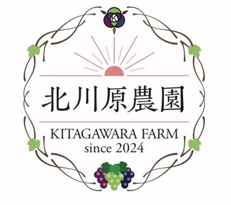 シャインマスカット 約1kg(2房 ~ 3房) ｜ シャインマスカット