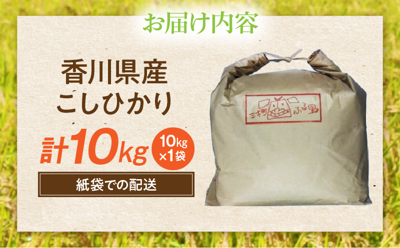 【令和7年産】香川県産こしひかり 10kg（紙袋配送）|新米 コシヒカリ こしひかり 10kg 米 白米 ごはん ご飯 朝食 白ご飯 おにぎり お弁当 おむすび お米 国産 美味しい ツヤ モチモチ 精米 おすすめ 香川県 三木町 |_mk132-110-02