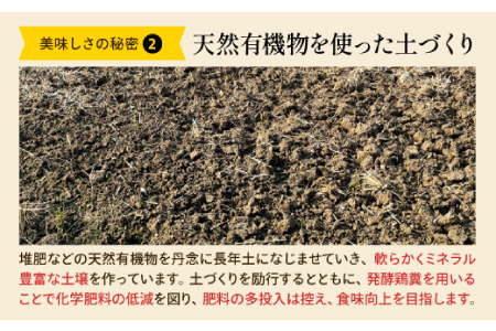 島根県仁多産コシヒカリ特別栽培米10㎏定期便6回【仁多米 コシヒカリ 特別栽培米 定期便 10kg 6回 合計60kg ブランド米 お米 米 精米 白米 人気 金賞受賞 安全 安心】
