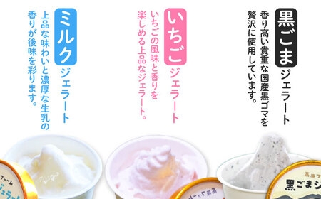 【2024年12月〜発送】【濃厚ミルク】ジェラート ミルク2個 黒ゴマ2個 いちご2個 計6個入り / アイスクリーム スイーツ / 南島原市 / 高原ファーム[SFP003]