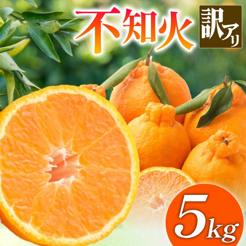 【ふるさと納税】 訳あり 不知火 しらぬい 5kg サイズ不揃い 家庭用 みかん 蜜柑 柑橘 果物 訳あり不知火 くだもの フルーツ 旬 期間限定 川島えがお倶楽部 2026年3月上旬～4月下旬発送予定 徳島県 吉野川市