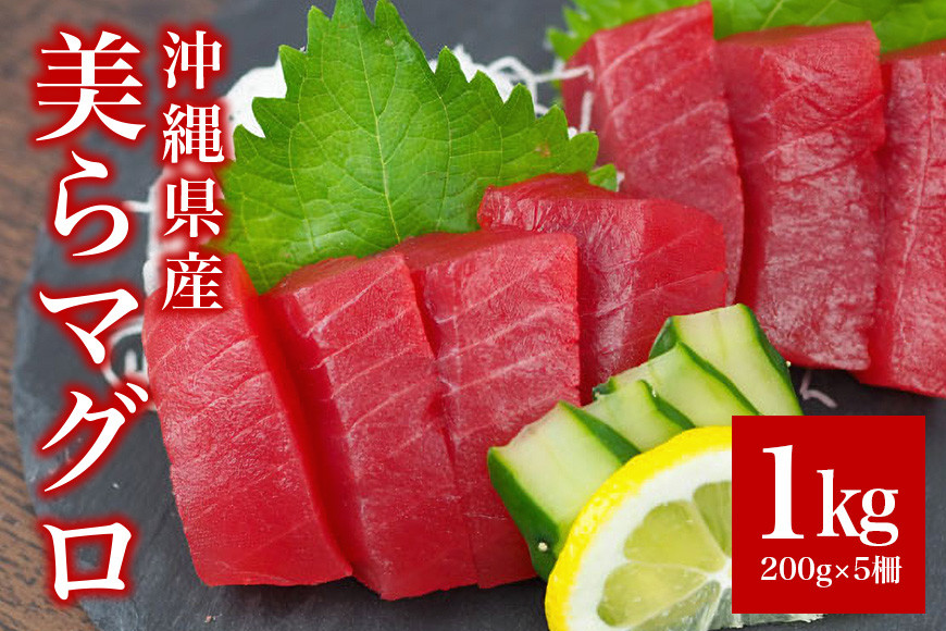 沖縄県産「旬のマグロ」をお届け!美らマグロ(1kg) |沖縄県糸満市の返礼品|ふるさと納税ナビ