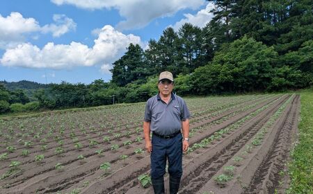 無農薬・無化学肥料　青森県産　生搾りえごま油（３本）えごま油 無農薬・無化学肥料 えごま油 無農薬・無化学肥料 えごま油 無農薬・無化学肥料 えごま油 無農薬・無化学肥料 青森県 三戸町 R0714