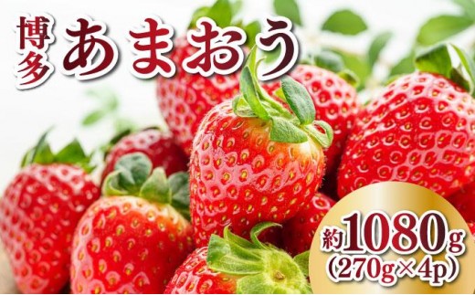
                  【先行予約】農家直送 朝採り新鮮いちご 博多あまおう 約1080g（約270g×4パック）（2026年2月上旬より発送）|苺 いちご イチゴ 完熟 あかい まるい おおきい うまい フルーツ 果物 デザート 期間限定 産地直送 冷蔵 お取り寄せ グルメ 送料無料 福岡県 那珂川市 
                