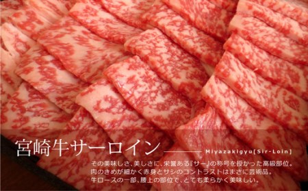 ＜宮崎牛＞サーロイン焼肉600g ※90日以内出荷【E120】