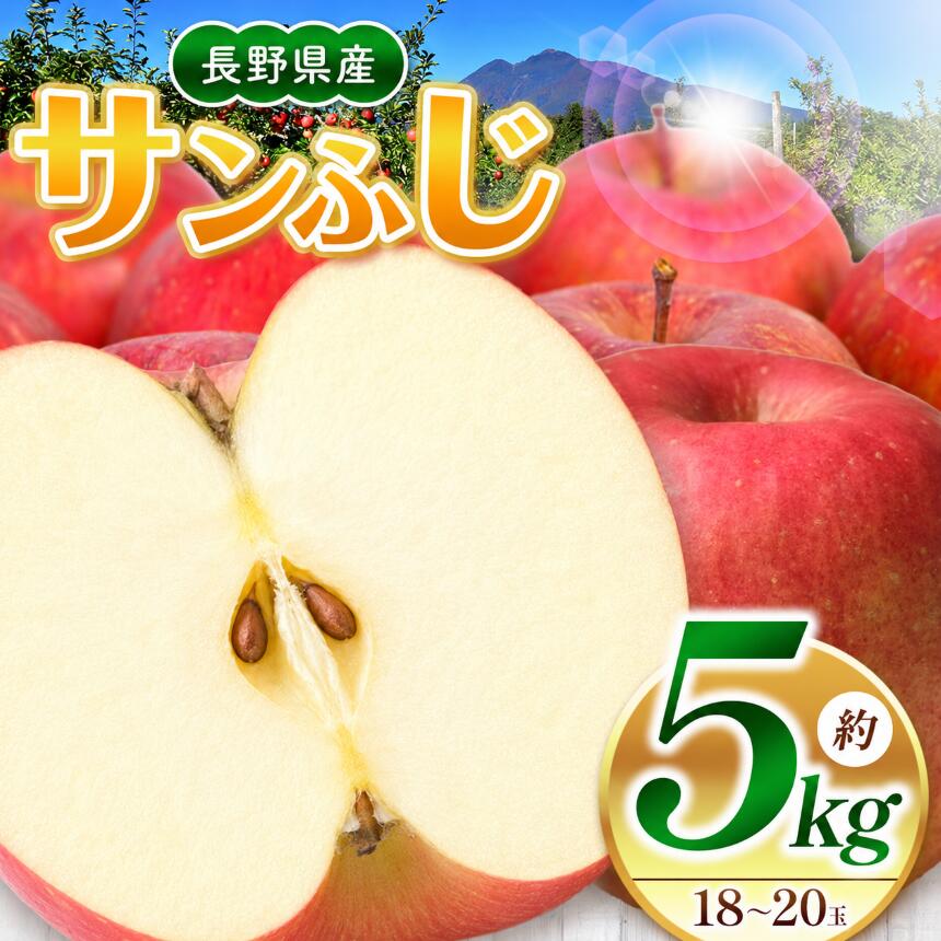 【ふるさと納税】【11月～発送】サンふじ 5kg(18～20玉)｜ふるさと納税 松本市 りんご 林檎 果物 フルーツ 詰め合わせ サンふじ 美味しい