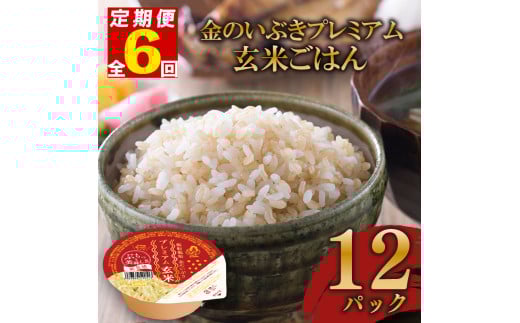 定期便 6回 玄米ごはんパック 120g 12個 玄米 米 お米 ごはん ご飯 こめ パックライス パックご飯 パックごはん ご飯パック ごはんパック パック ライス 備蓄 保存 非常 防災 電子 レンジ 温めるだけ レンチン 簡単 健康 ダイエット 美容 ヘルシー 12 12食 レトルト インスタント おいしい 人気 おすすめ 金のいぶき 大阪府 松原市