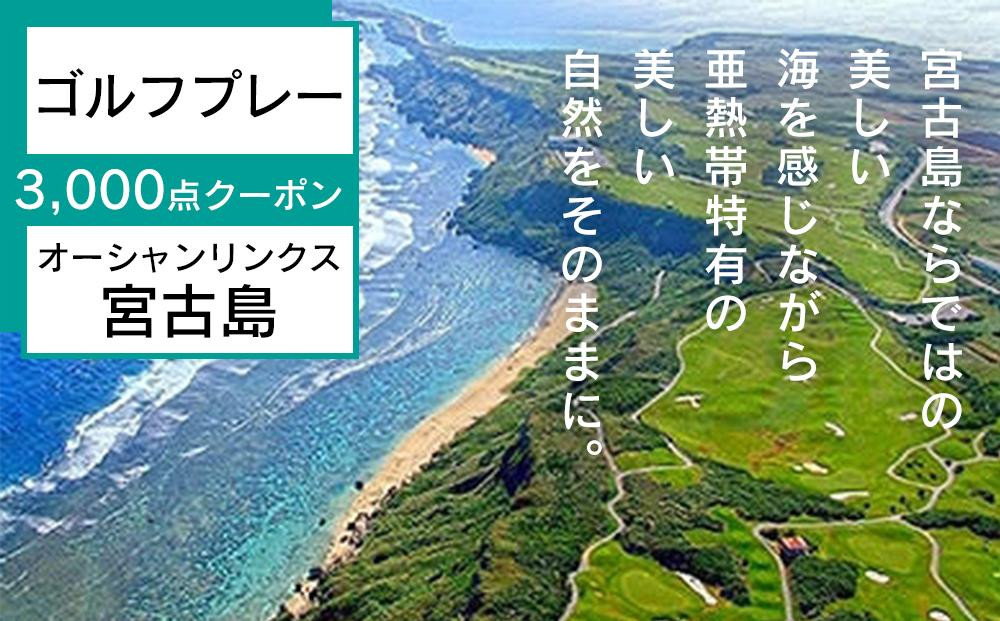 
オーシャンリンクス宮古島　プレー3,000点クーポン
