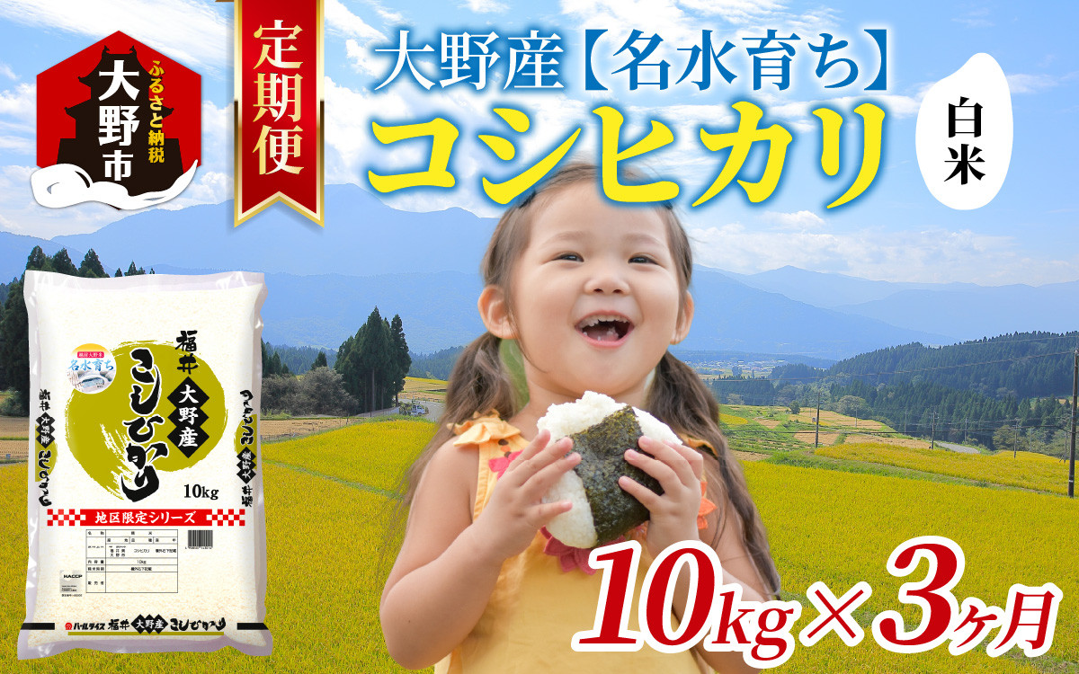 
            【3ヶ月定期便】【令和6年産 新米】大野産コシヒカリ（白米）10kg×3回 計30kg【大野ブランド米 名水育ち】
          