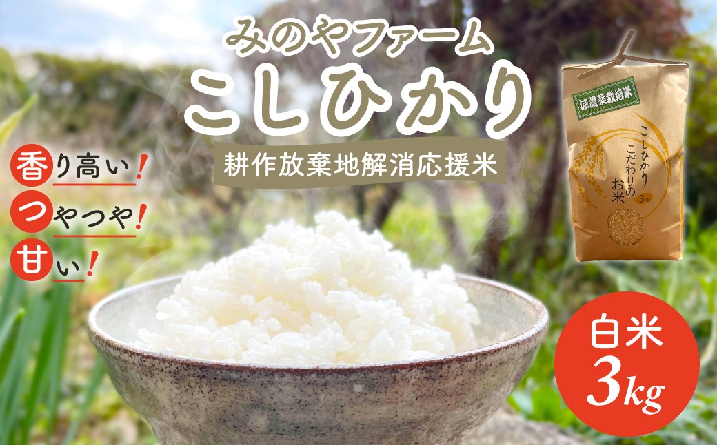 
            令和7年産新米 こしひかり 3ｋｇ（白米） みのやファーム耕作放棄地解消応援米  【 コシヒカリ こしひかり おいしい お米 米 こめ 自然栽培 贈り物 ギフト 千葉県 御宿町 人気 おすすめ ランキング 】 ONJF002
          