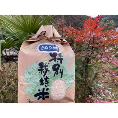 ふるさと納税 亀岡市 いぬかんの　キヌヒカリ　3kg