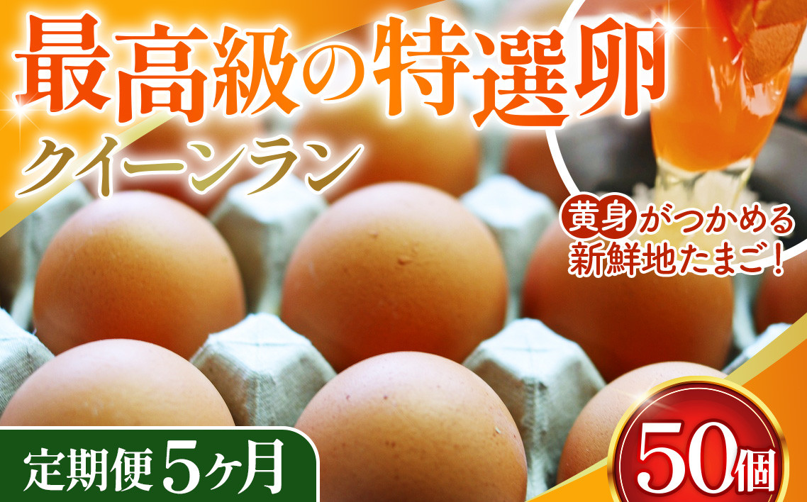 
            黄身がつかめる新鮮地たまごクイーンラン 赤玉50個入《定期便5ヶ月》 No.227
          